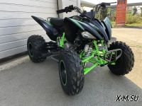 Квадроцикл PROMAX RAPTOR 300 NEW