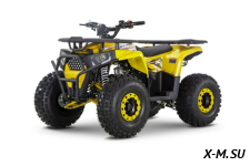 Квадроцикл WELS Trail 125