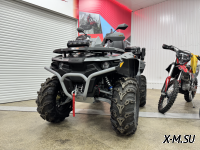 Квадроцикл STELS ATV010 (TE) GUEPARD 2.0 K01 EPS GN 2024 г.